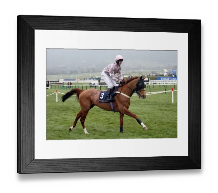 Framed Print : Darkness Ridden By J.A.Mccarthy Cheltenham Festival 2005 Cheltenham Racecourse