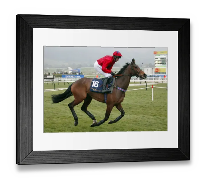 Framed Print : Secret Ploy Framed Print : Secret Ploy