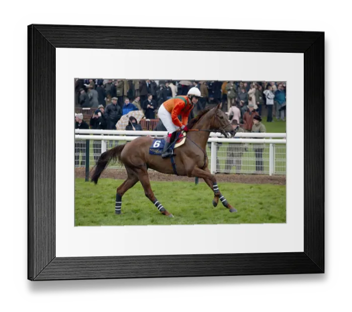 Framed Print : L Ami Ridden By R.Thornton Cheltenham Festival 2005 Cheltenham Racecourse