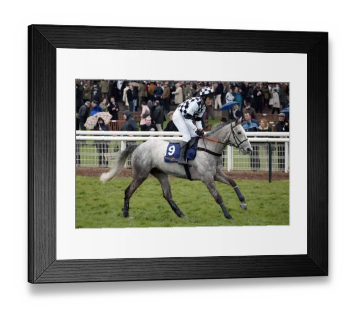 Framed Print : Tribal Venture Framed Print : Tribal Venture