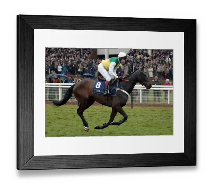Framed Print : Trabolgan Ridden By M.A.Fitzgerald Cheltenham Festival 2005 Cheltenham Racecourse Framed Print : Trabolgan Ridden By M.A.Fitzgerald Cheltenham Festival 2005 Cheltenham Racecourse