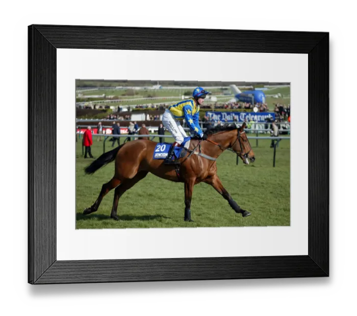 Framed Print : Big Rob Ridden By J.Tizzard Cheltenham Festival 2005 Cheltenham Racecourse Framed Print : Big Rob Ridden By J.Tizzard Cheltenham Festival 2005 Cheltenham Racecourse