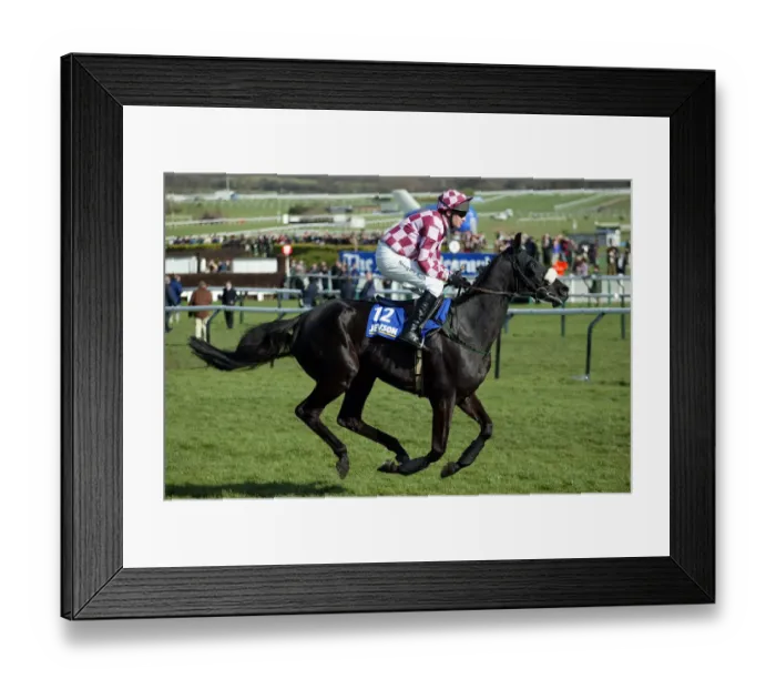 Framed Print : Sir Oj Ridden By P.Carberry Cheltenham Festival 2005 Cheltenham Racecourse