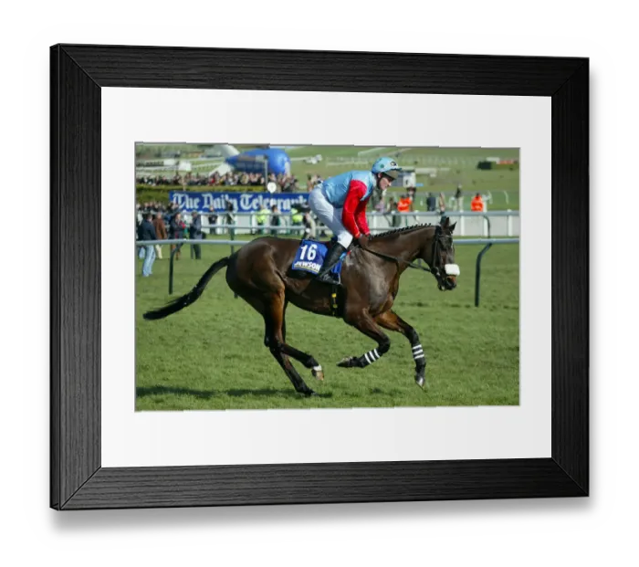 Framed Print : Bizet Ridden By J.Cullen Cheltenham Festival 2005 Cheltenham Racecourse Framed Print : Bizet Ridden By J.Cullen Cheltenham Festival 2005 Cheltenham Racecourse