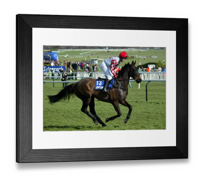 Framed Print : Joes Edge Ridden By B.Harding Cheltenham Festival 2005 Cheltenham Racecourse Framed Print : Joes Edge Ridden By B.Harding Cheltenham Festival 2005 Cheltenham Racecourse