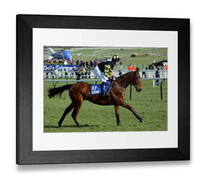 Framed Print : Ball O Malt Framed Print : Ball O Malt