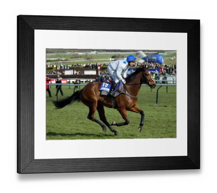 Framed Print : King Harald