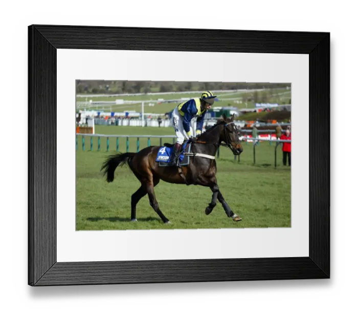 Framed Print : Sleep Bal Ridden By M.A.Fitzgerald Cheltenham Festival 2005 Cheltenham Racecourse Framed Print : Sleep Bal Ridden By M.A.Fitzgerald Cheltenham Festival 2005 Cheltenham Racecourse