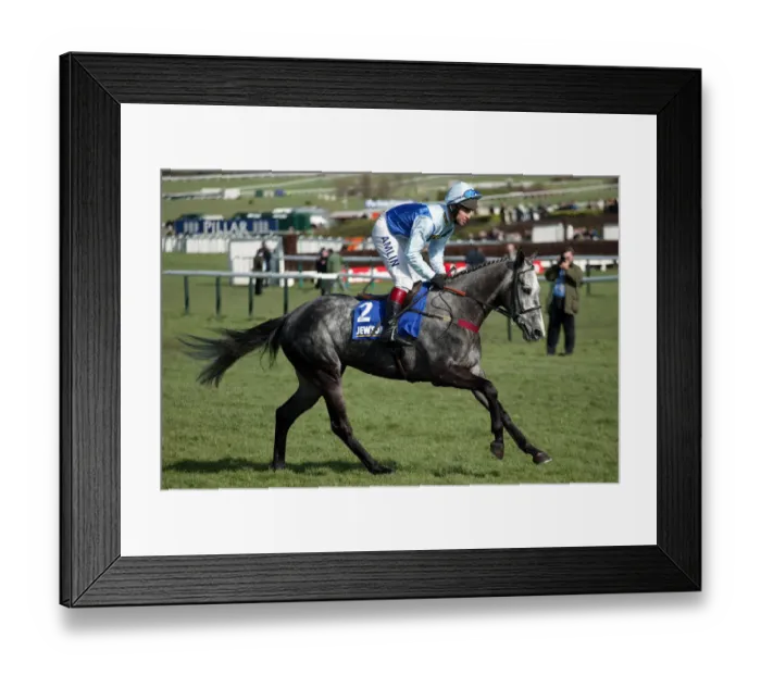 Framed Print : Lacdoudal Ridden By R.Johnson Cheltenham Festival 2005 Cheltenham Racecourse Framed Print : Lacdoudal Ridden By R.Johnson Cheltenham Festival 2005 Cheltenham Racecourse