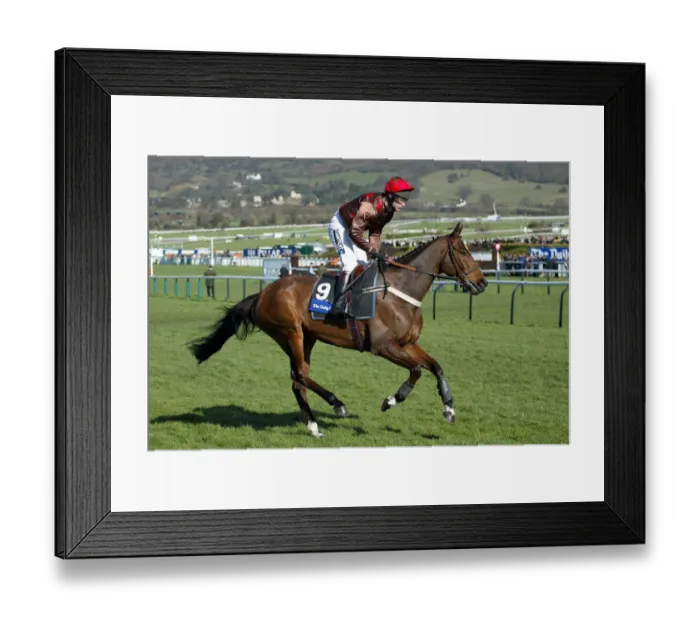 Framed Print : Fondmort Ridden By M.A.Fitzgerald Cheltenham Festival 2005 Cheltenham Racecourse Framed Print : Fondmort Ridden By M.A.Fitzgerald Cheltenham Festival 2005 Cheltenham Racecourse