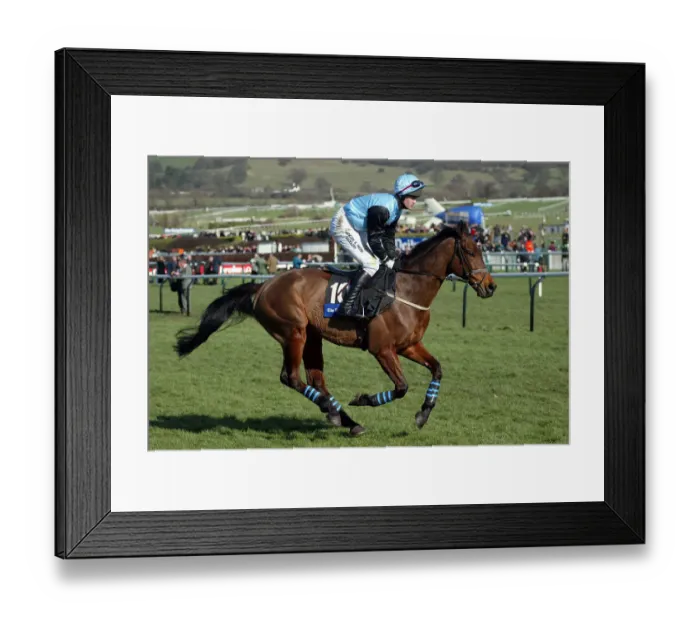 Framed Print : Mixsterthetrixster Framed Print : Mixsterthetrixster