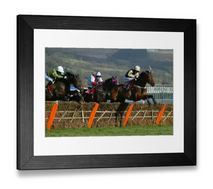 Framed Print : Baracouda, Westender and Inglis Drever Framed Print : Baracouda, Westender and Inglis Drever