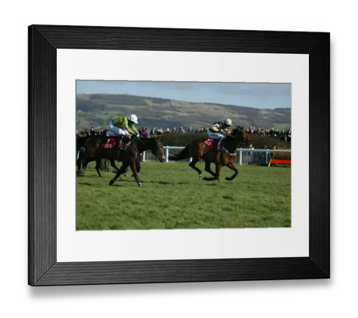 Framed Print : Baracouda & Inglis Drever Framed Print : Baracouda & Inglis Drever