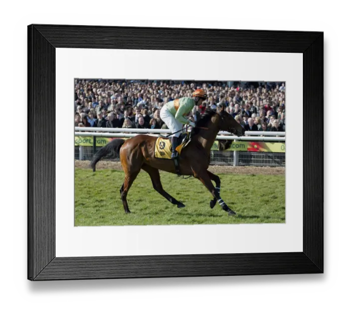 Framed Print : Danaw Ridden By L.Metais Cheltenham Festival 2005 Cheltenham Racecourse Framed Print : Danaw Ridden By L.Metais Cheltenham Festival 2005 Cheltenham Racecourse