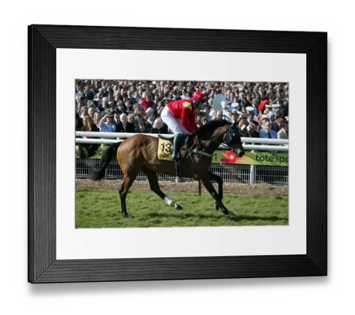 Framed Print : Fsel Ridden By A.Dobbin Cheltenham Festival 2005 Cheltenham Racecourse Framed Print : Fsel Ridden By A.Dobbin Cheltenham Festival 2005 Cheltenham Racecourse