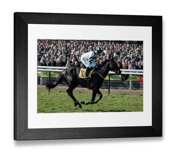 Framed Print : Akilak Ridden By G.Lee Cheltenham Festival 2005 Cheltenham Racecourse Framed Print : Akilak Ridden By G.Lee Cheltenham Festival 2005 Cheltenham Racecourse