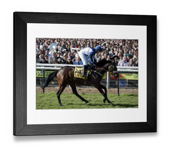 Framed Print : Yankeedoodledandy Framed Print : Yankeedoodledandy