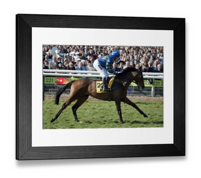 Framed Print : Strangely Brown Framed Print : Strangely Brown