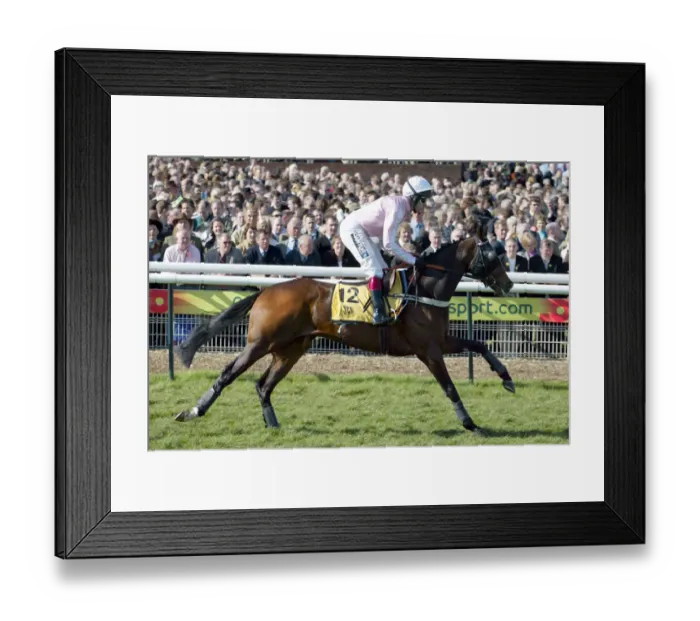 Framed Print : Etendard Indien Framed Print : Etendard Indien