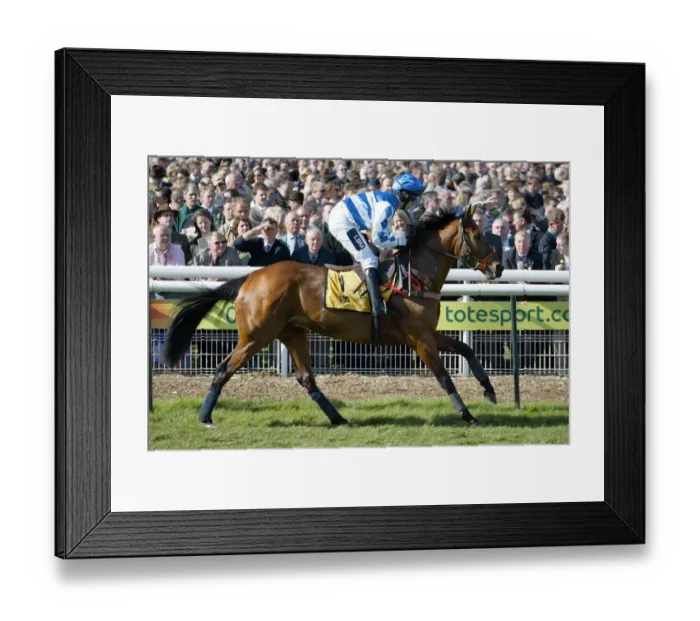 Framed Print : Admiral Ridden By H.Oliver Cheltenham Festival 2005 Cheltenham Racecourse Framed Print : Admiral Ridden By H.Oliver Cheltenham Festival 2005 Cheltenham Racecourse