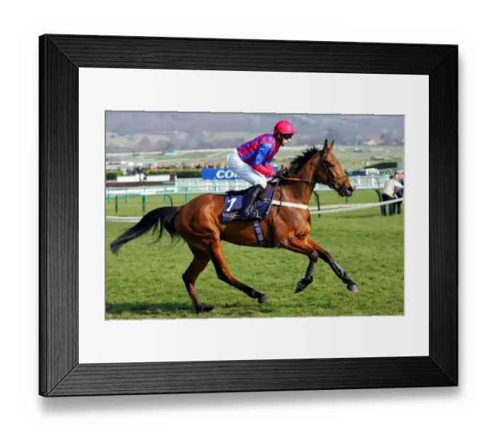 Framed Print : Mr Pointment Framed Print : Mr Pointment