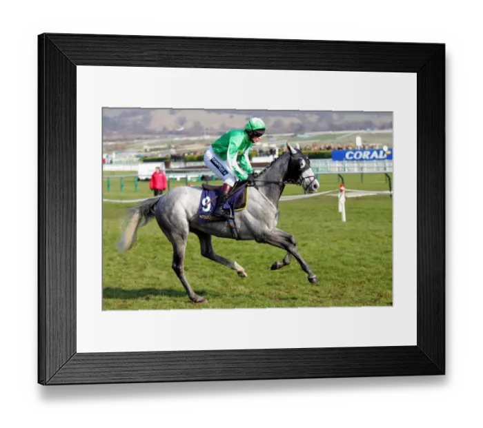 Framed Print : Rimsky Ridden By C.Llewellyn Cheltenham Festival 2006 Cheltenham Racecourse