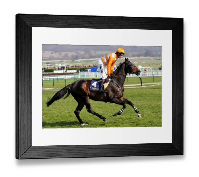 Framed Print : Le Comte Est Bon Framed Print : Le Comte Est Bon