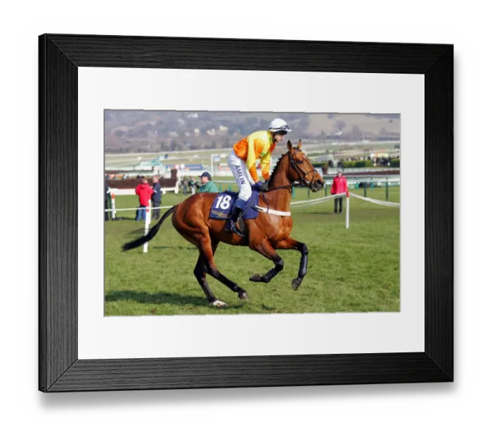 Framed Print : Legally Fast Framed Print : Legally Fast
