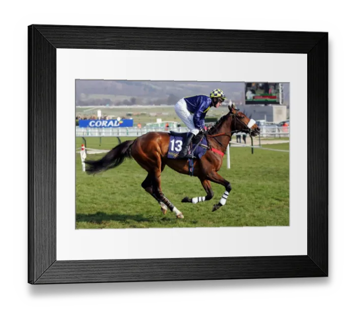 Framed Print : Zaiyad Ridden By B.J. Geraghty Cheltenham Festival 2006 Cheltenham Racecourse Framed Print : Zaiyad Ridden By B.J. Geraghty Cheltenham Festival 2006 Cheltenham Racecourse