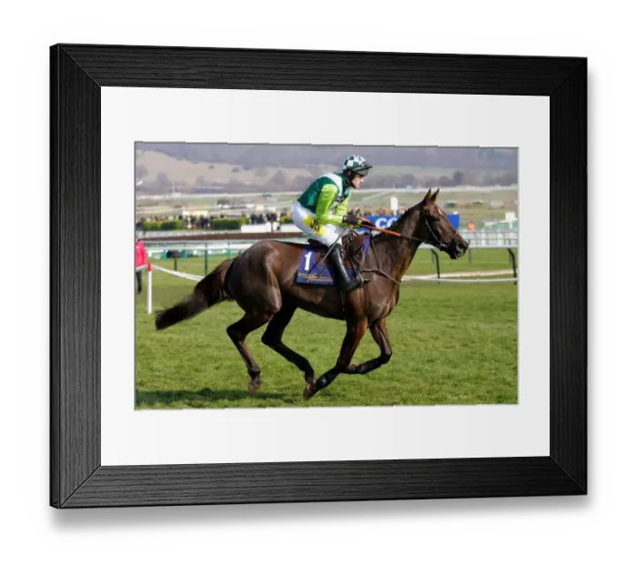 Framed Print : Denman Ridden By R. Walsh Cheltenham Festival 2006 Cheltenham Racecourse
