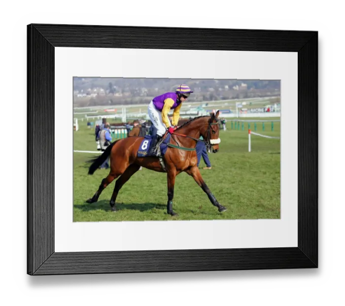 Framed Print : Nicanor Ridden By P.Carberry Cheltenham Festival 2006 Cheltenham Racecourse