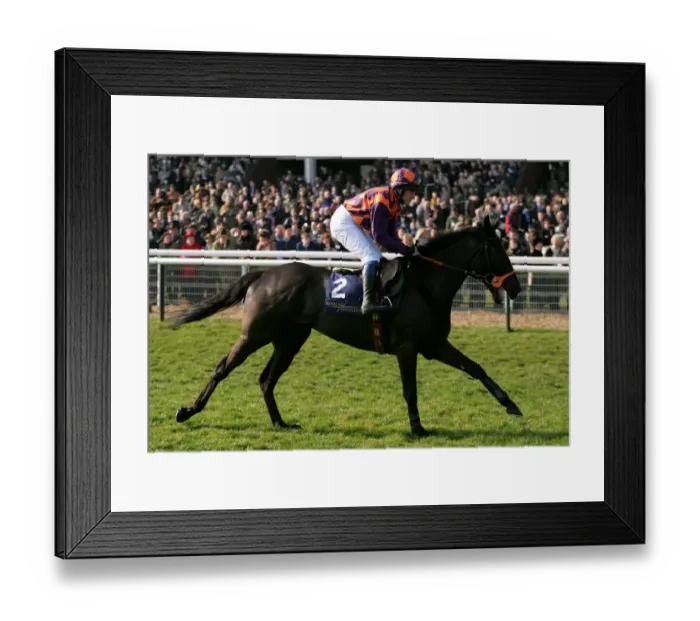 Framed Print : Back In Front Framed Print : Back In Front