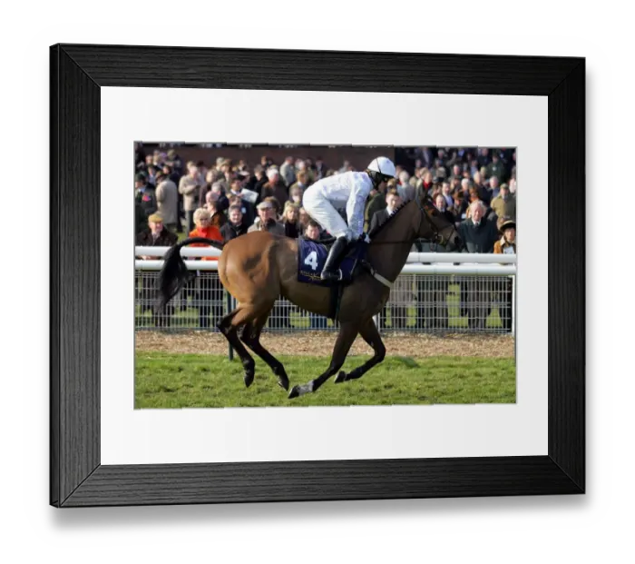 Framed Print : Bold Bishop