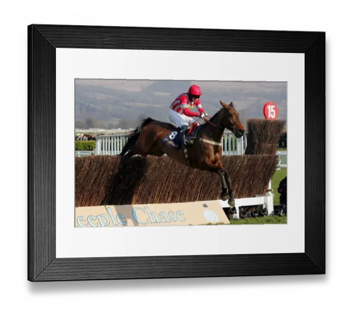 Framed Print : Idle Talk The Royal and Sunalliance Steeple Chase Cheltenham Festival 2006 Framed Print : Idle Talk The Royal and Sunalliance Steeple Chase Cheltenham Festival 2006