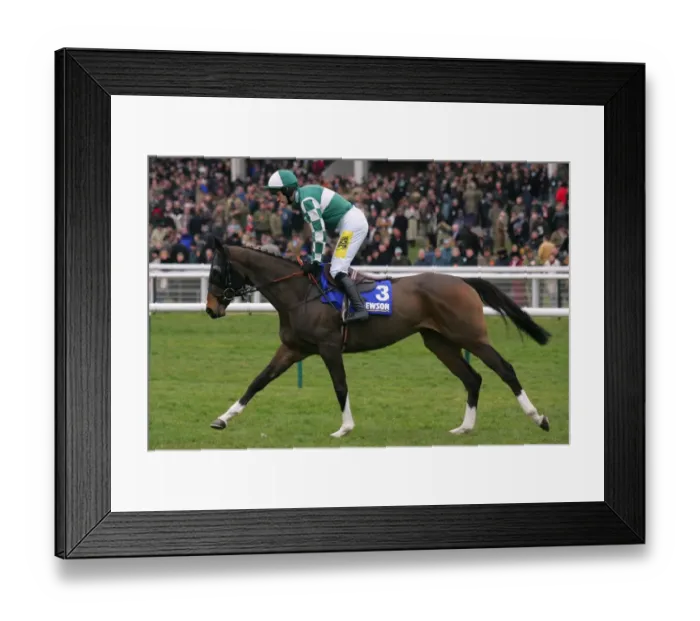 Framed Print : Cornish Sett Framed Print : Cornish Sett