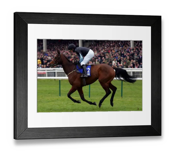 Framed Print : Demi Beau Ridden By Christian Williams Cheltenham Festival 2006 Cheltenham Racecourse Framed Print : Demi Beau Ridden By Christian Williams Cheltenham Festival 2006 Cheltenham Racecourse