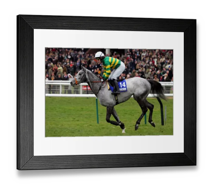 Framed Print : Reveillez Ridden By A.P.Mccoy Cheltenham Festival 2006 Cheltenham Racecourse Framed Print : Reveillez Ridden By A.P.Mccoy Cheltenham Festival 2006 Cheltenham Racecourse