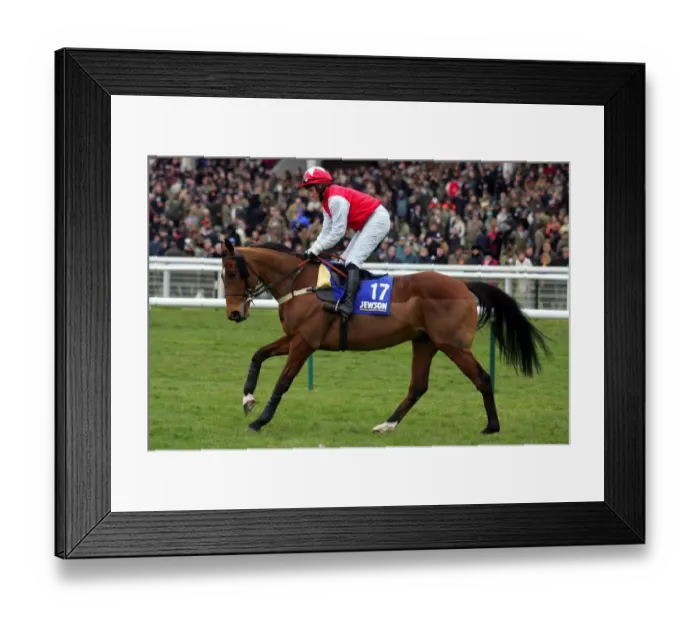 Framed Print : Stance Ridden By J.E.Moore Cheltenham Festival 2006 Cheltenham Racecourse Framed Print : Stance Ridden By J.E.Moore Cheltenham Festival 2006 Cheltenham Racecourse