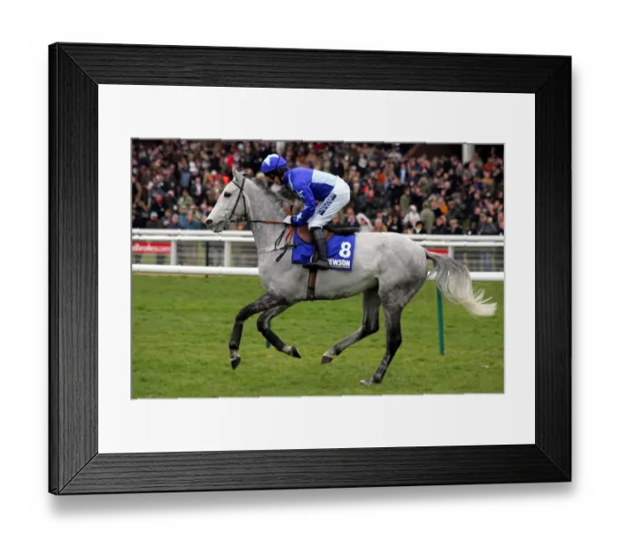 Framed Print : Kasthari Ridden By G.Lee Cheltenham Festival 2006 Cheltenham Racecourse