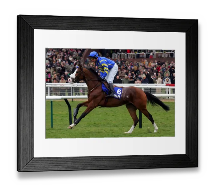 Framed Print : Whispered Secret Framed Print : Whispered Secret