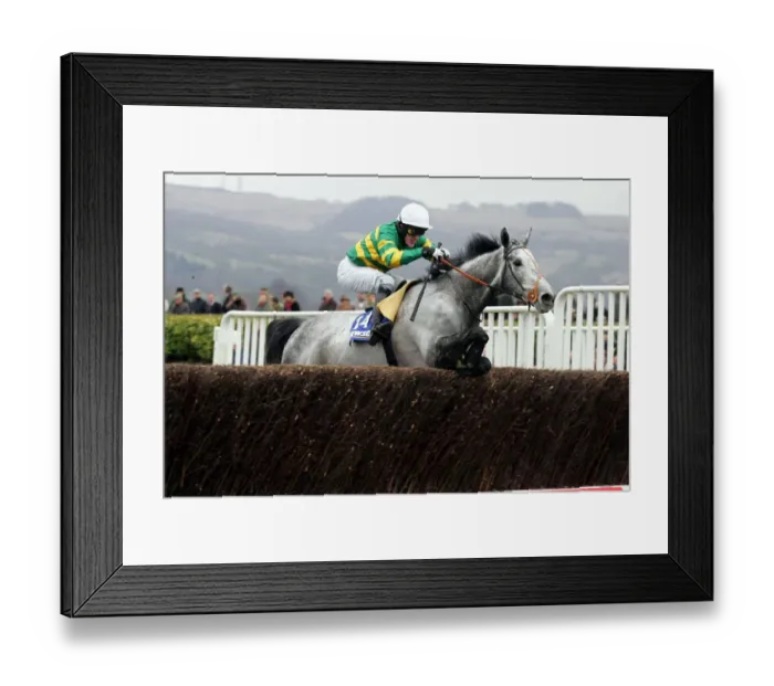Framed Print : Reveillez The Jewson Novices Handicap Steeple Chase Cheltenham Festival