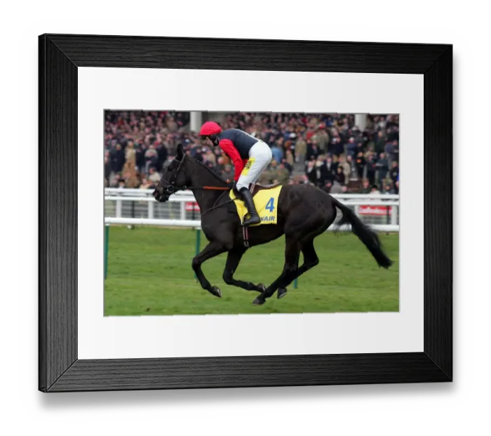 Framed Print : My Will Ridden By R.Walsh Cheltenham Festival 2006 Cheltenham Racecourse