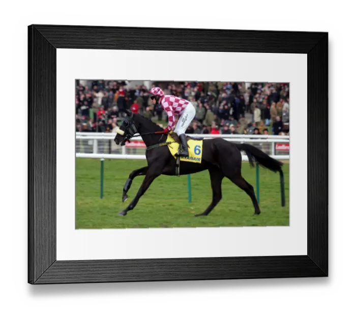 Framed Print : Sir Oj Ridden By P.Carberry Cheltenham Festival 2006 Cheltenham Racecourse Framed Print : Sir Oj Ridden By P.Carberry Cheltenham Festival 2006 Cheltenham Racecourse