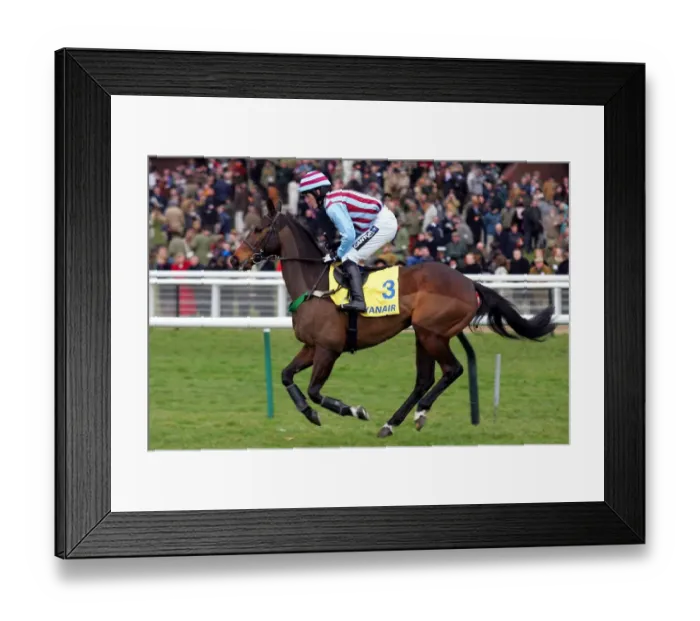 Framed Print : Impek Ridden By A.P.Mccoy Cheltenham Festival 2006 Cheltenham Racecourse Framed Print : Impek Ridden By A.P.Mccoy Cheltenham Festival 2006 Cheltenham Racecourse