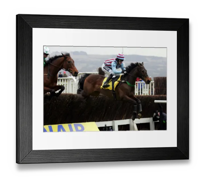 Framed Print : Impek The Ryanair Steeple Chase Cheltenham Festival 2006 Cheltenham Racecourse