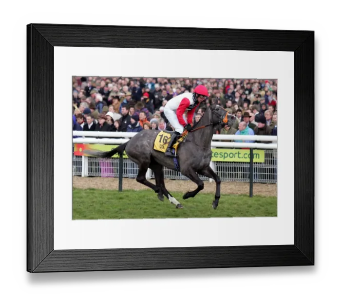 Framed Print : Turko Ridden By Christian Williams Cheltenham Festival 2006 Cheltenham Racecourse Framed Print : Turko Ridden By Christian Williams Cheltenham Festival 2006 Cheltenham Racecourse