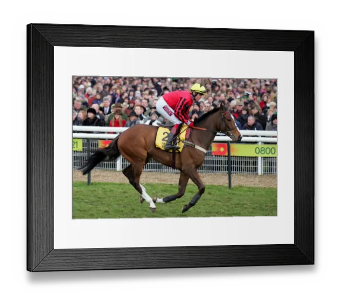 Framed Print : Blazing Bailey Framed Print : Blazing Bailey