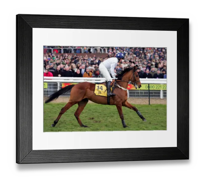 Framed Print : Pace Shot Ridden By J.E.Moore Cheltenham Festival 2006 Cheltenham Racecourse Framed Print : Pace Shot Ridden By J.E.Moore Cheltenham Festival 2006 Cheltenham Racecourse