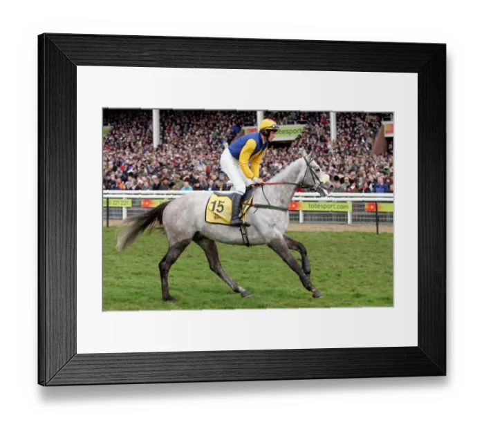 Framed Print : Restoration