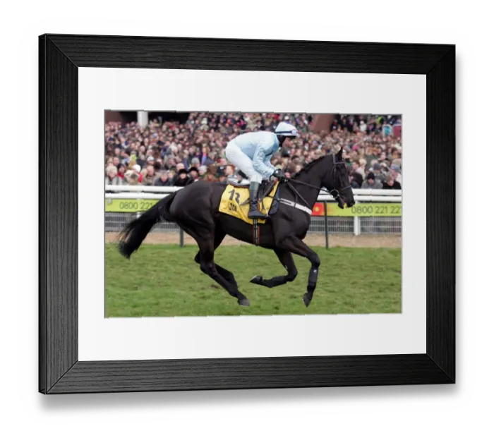 Framed Print : Overlut Ridden By Denis D.J.Carey Cheltenham Festival 2006 Cheltenham Racecourse Framed Print : Overlut Ridden By Denis D.J.Carey Cheltenham Festival 2006 Cheltenham Racecourse